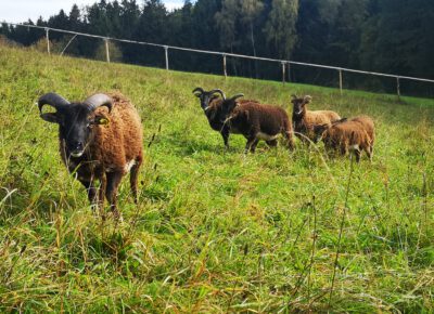 IMG202210101442381712693253