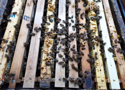 201805081530121762325968