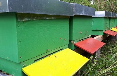 202008241428531762325964