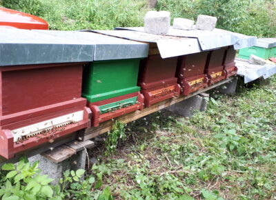 202008241429081762325967